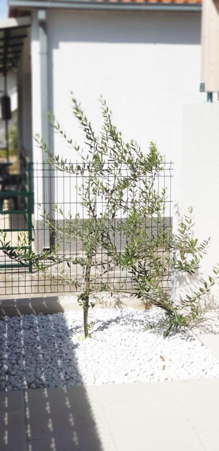 Apartment Kate Trogir Zewnętrze zdjęcie